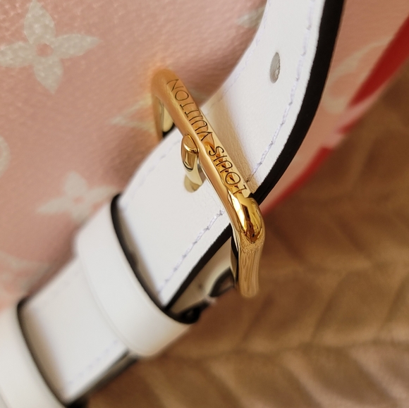 Louis Vuitton Giant Monogram Red Bumbag, Waist Bag Canvas Limited Edition - Picture 8 of 17